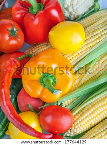 Healthy Organic Raw Vegetables. Food ingredient. Art Design Background
