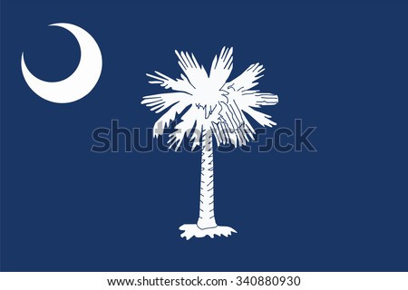 Flag of South Carolina state of the United States. Vector illustration.