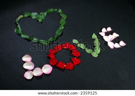 a heart and love made by rose petals