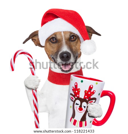 santa claus dog with sugar cane and cup