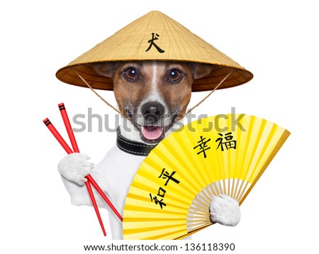 asian dog with hand fan and chopsticks