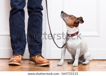 Similar – Image, Stock Photo Shoes on a leash