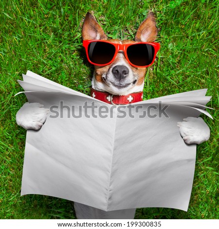 dog reading a blank newspaper and relaxing on grass in the park