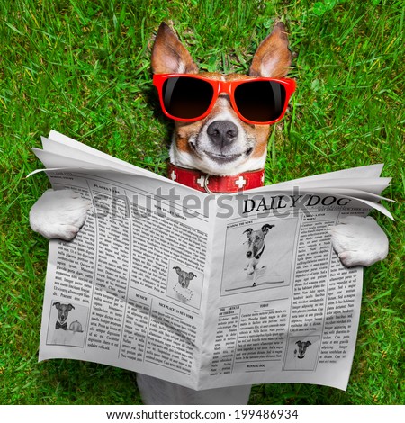 dog reading newspaper and relaxing on grass in the park