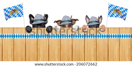 three bavarian  dogs behind a fence