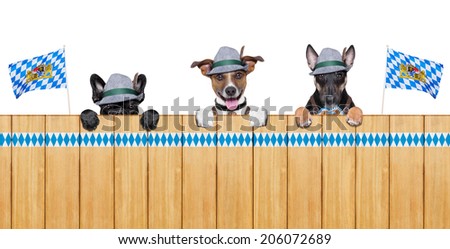 three bavarian  dogs behind a fence