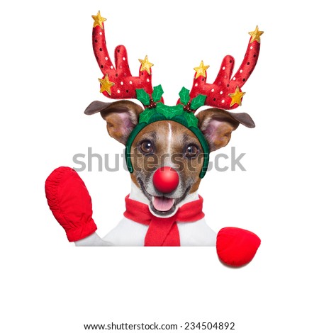 reindeer dog behind a blank banner with a red nose  and waving hand isolated on white background