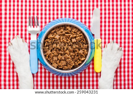full dog food bowl with knife and fork on tablecloth,paws of a dog