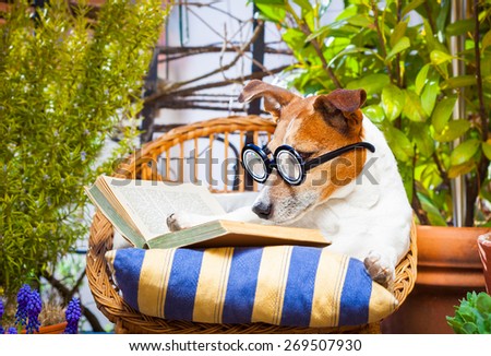 jack russell dog reading his favorite book,surrounded by green plants , relaxing and sitting on a lounger or deck chair outside