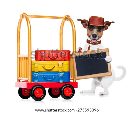jack russell dog pushing a hotel Luggage Cart or trolley full of luggage and bags, ready to check in , in a pet friendly hotel, holding an empty blank blackboard , isolated on white background