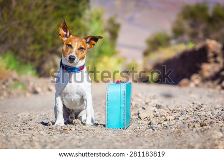 Similar – Foto Bild verloren im Ferienheim