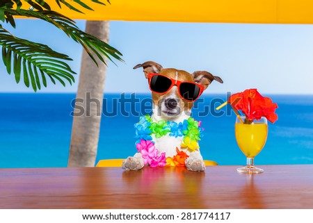 funny cool dog drinking cocktails at the bar in a  beach club party with ocean view on summer vacation holidays