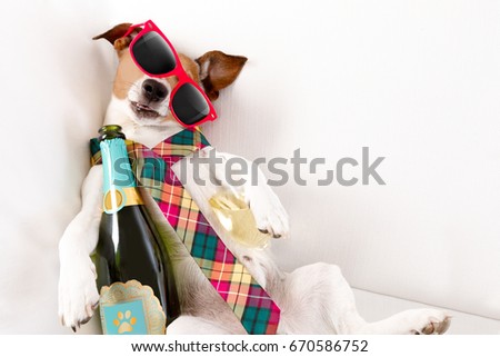 Similar – Image, Stock Photo Sick hangover Animal Pet