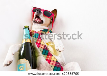 Image, Stock Photo Sick hangover Animal Pet