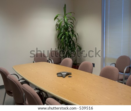 Board Room - A long conference table with a tall plant in the corner, and a speaker phone