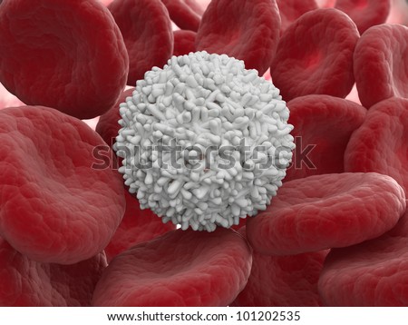 White Blood Cell Medical Illustration - 101202535 : Shutterstock