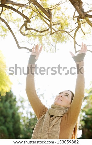 Portrait of a middle aged attractive woman wearing a thick brown woolly knitted scarf while visiting the countryside and reaching a tree branch, during a sunny autumn day.