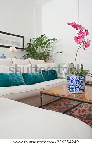 Interior design detail view of a home living room with a white sofa with cushions, plants and flowers, interior view. House indoors with carpets and character design. Tranquil aspirational home space.