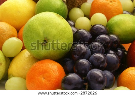 Set of different exotic fruits on white background
