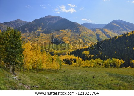 valley in the mountains of Colorado with golden and green aspen during foliage season