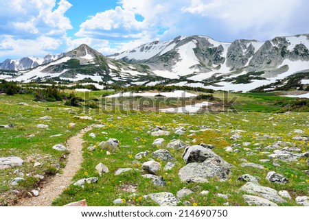 Trail through the alpine meadow with wild flowers in Snowy Range Mountains of  Medicine Bow, Wyoming in summer