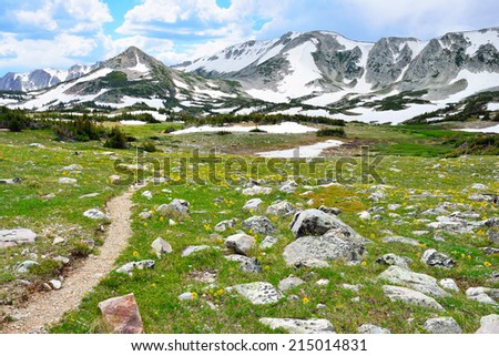 Trail through the alpine meadow with wild flowers in Snowy Range Mountains of  Medicine Bow, Wyoming in summer