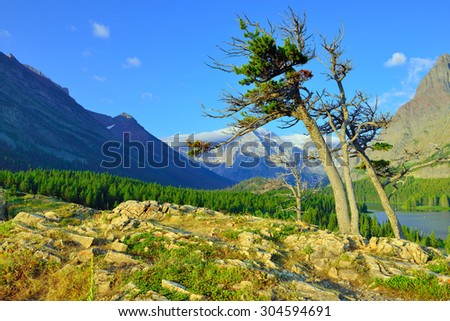 summer alpine landscape of the Glacier National Park