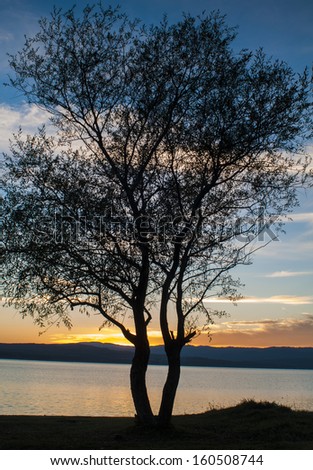 Two Souls two trees at the lake