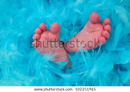 baby boy feet background in blue feathers