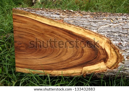 texture of wood for furniture making