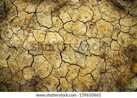 Soil losses Because of global warming.