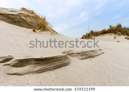 Sand dune patterns created by wind and rain erosion.