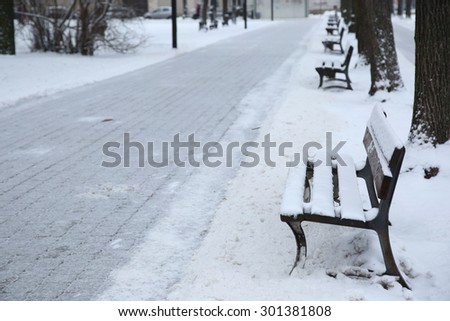 The path in the park after snowfall with snow-covered benches