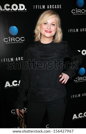 Amy Poehler at the \