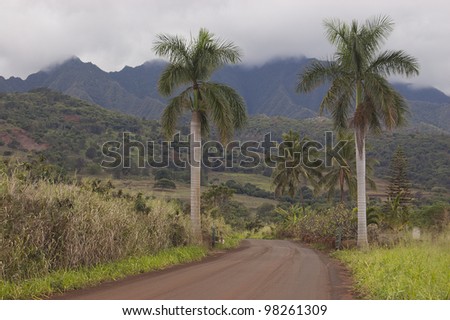 Tropical Country Road with Mountains and Palm Trees