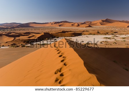 Foot tracks on top of a dune at Sossusvlei in Namibia
