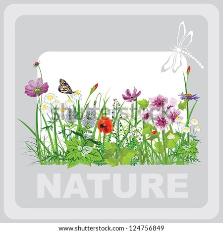 Green grass and flowers, landscape natural, banner in vector art