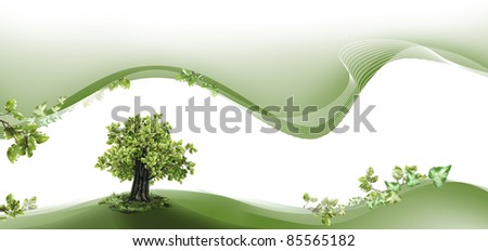 Nature header and footer with beech tree