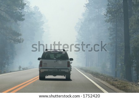 Car driving into a cloud of smoke from a forest fire.