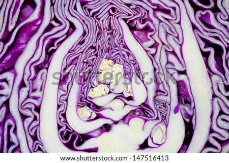 cross-section of a red cabbage 3