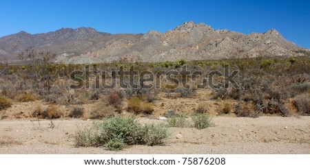Dry landscape of the Mojave National Preserve in California