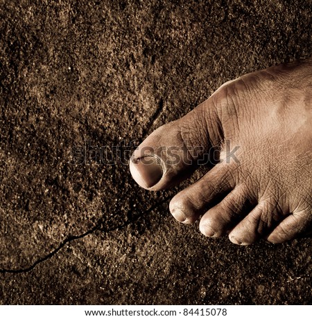Close Up Of Bare Feet Stock Photo 84415078 : Shutterstock