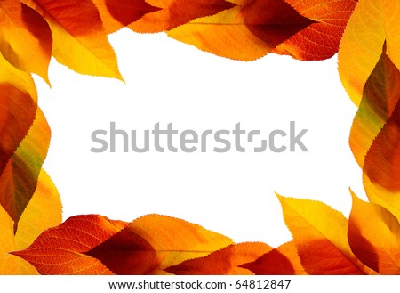 A bunch of fall leaves isolated on white background