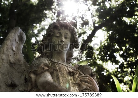 Old angel statue in a garden with sun beam / Angel Statue