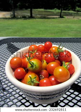 Bowl of Fresh Picked Cherry Tomatoes/Bowl of Fresh Picked Cherry Tomatoes 2 /Bowl of Fresh Picked Cherry Tomatoes