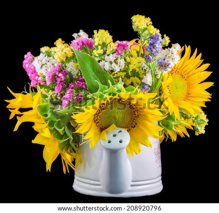Yellow sunflowers and colored wild flowers in a white sprinkler, watering can, close up, isolated, cutout, black background