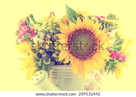 Yellow sunflowers and colored wild flowers in a white sprinkler, watering can, close up, isolated, cutout, vintage style