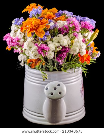 White ceramic watercan, sprinkler, with vivid colored flowers, orange tagetes, purple wild flowers, close up, isolated, black background.