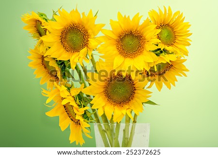 Helianthus or sunflowers, floral arrangement, bouquet, green light background, close up. Family Asteraceae.