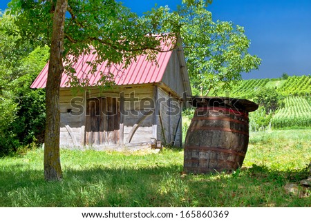 Wooden cottage and oak wine barrel in vineyard, Croatia